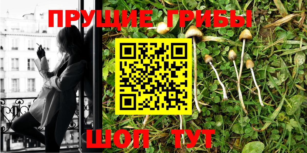 Псилоцибиновые грибы GOLDEN TEACHER  Вход с VPN  Псилоцибиновые грибы ЛСД  Камышин 